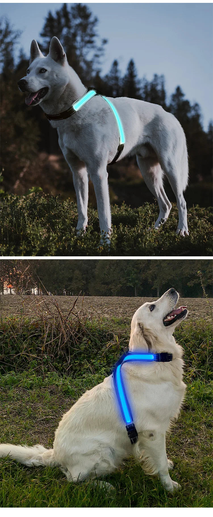 Colour Changing Adjustable Dog Harness