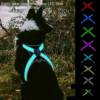 Colour Changing Adjustable Dog Harness