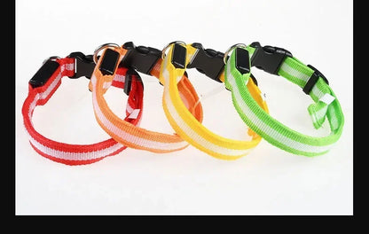LED Glowing Night Safety Pet Collar