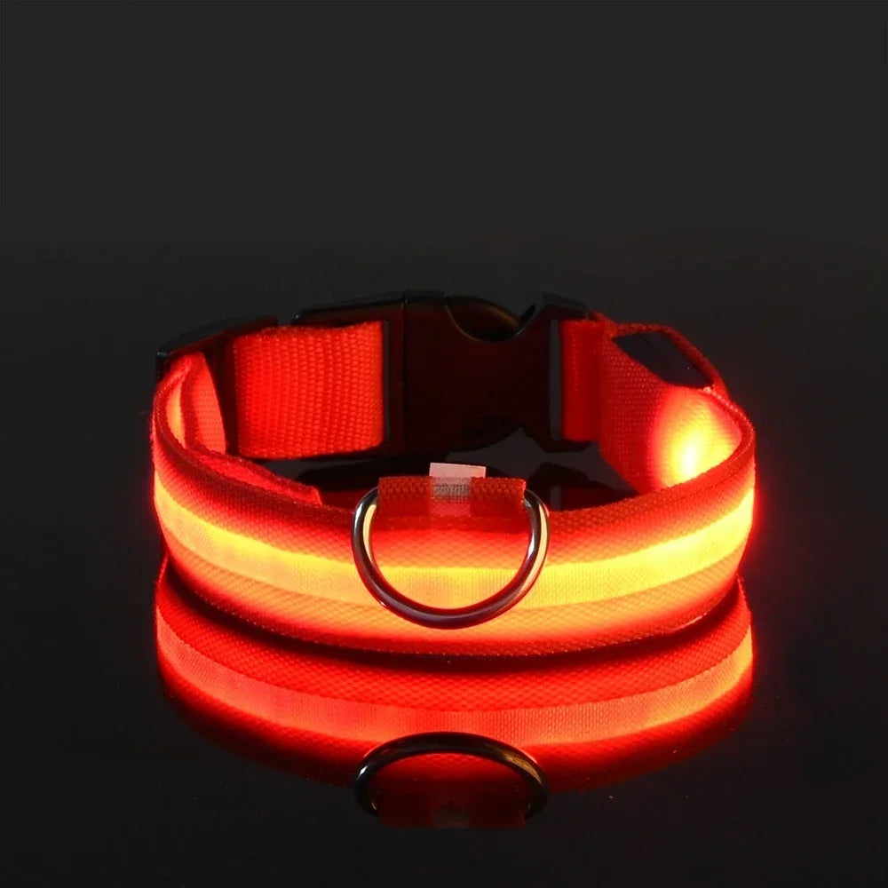 LED Glowing Night Safety Pet Collar