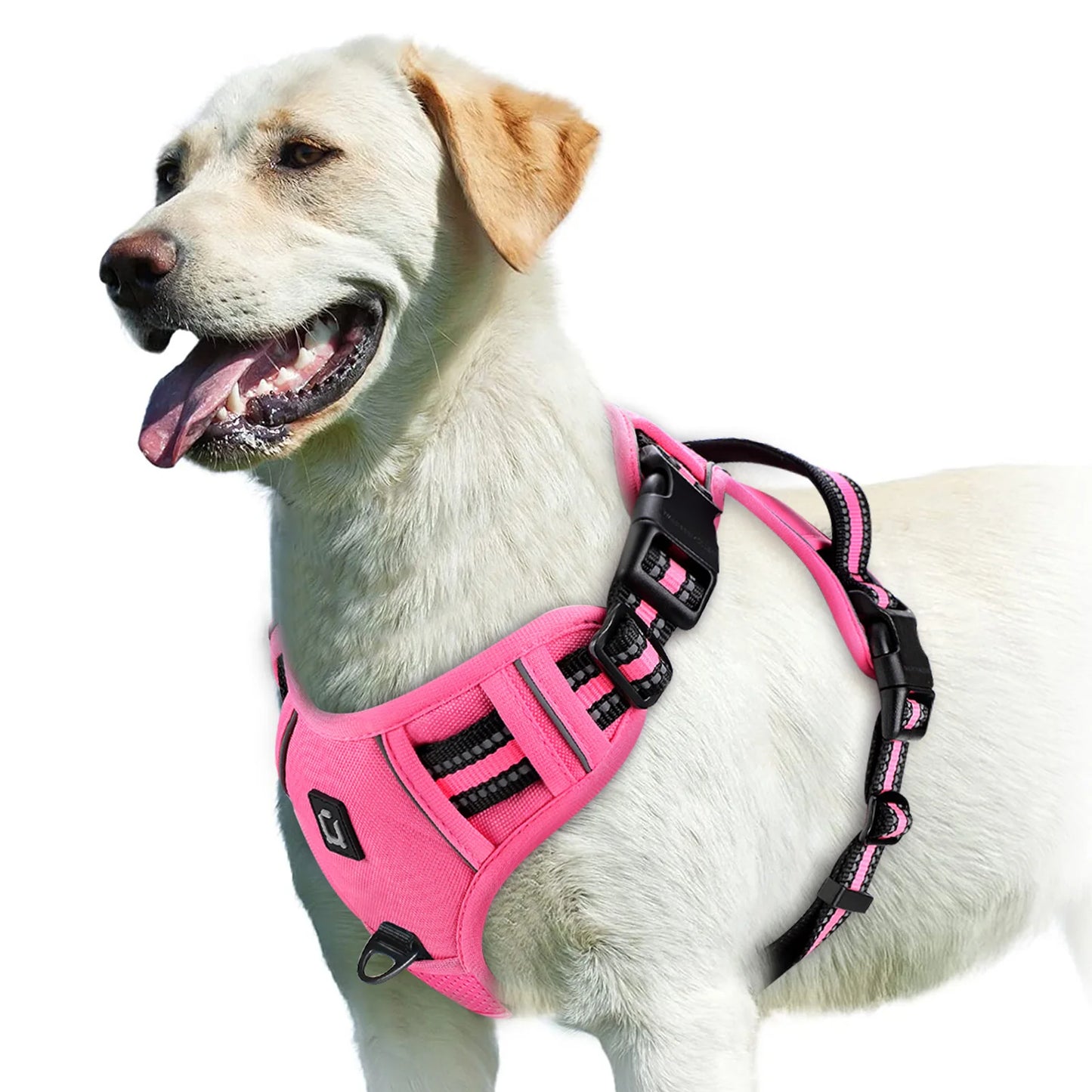 No Pull & High Visibility Dog Harness