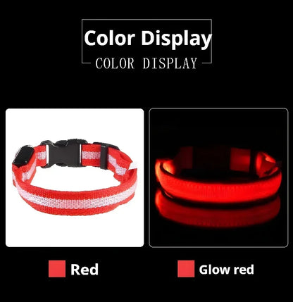 LED Glowing Night Safety Pet Collar
