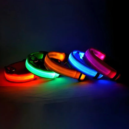 LED Glowing Night Safety Pet Collar