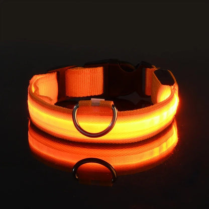 LED Glowing Night Safety Pet Collar