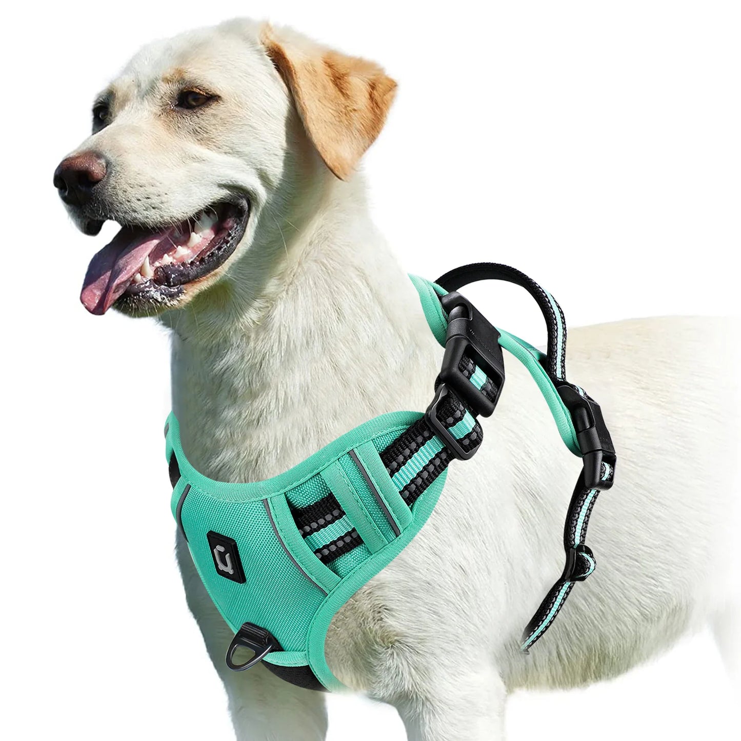 No Pull & High Visibility Dog Harness