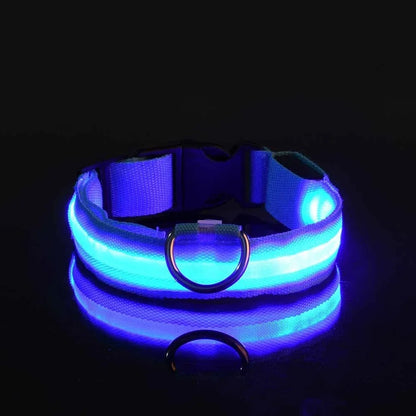 LED Glowing Night Safety Pet Collar