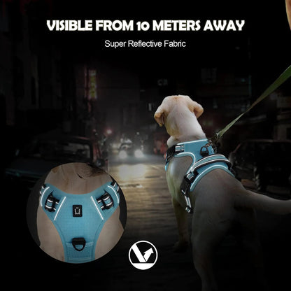 No Pull & High Visibility Dog Harness