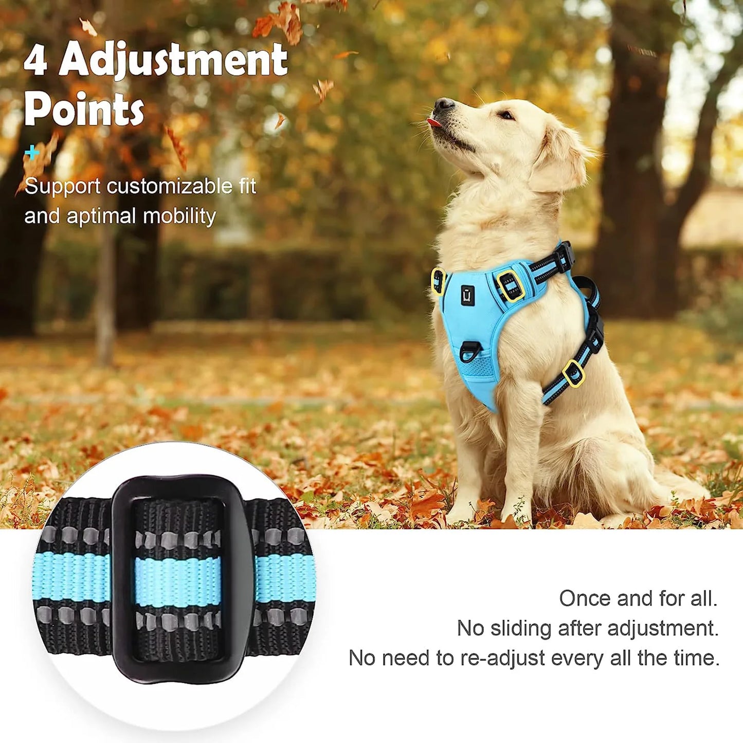 No Pull & High Visibility Dog Harness