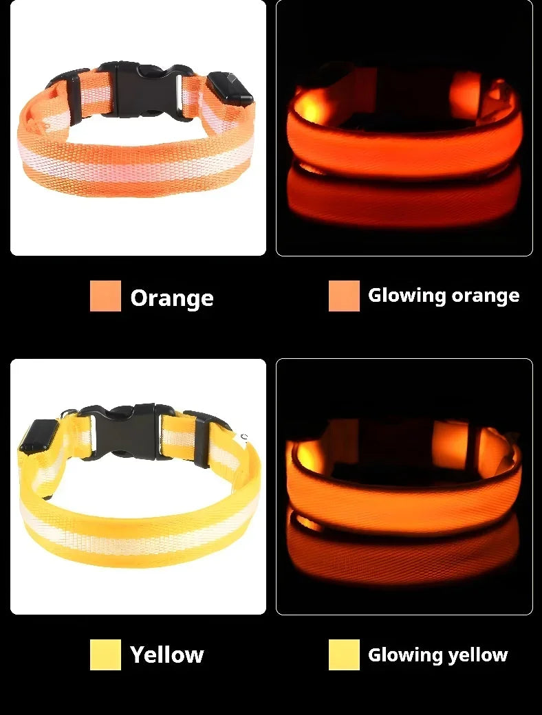 LED Glowing Night Safety Pet Collar