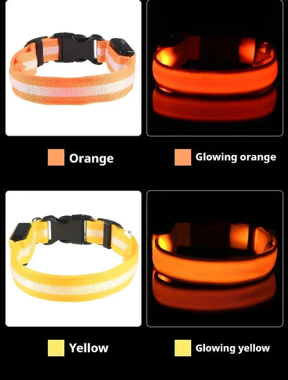 LED Glowing Night Safety Pet Collar