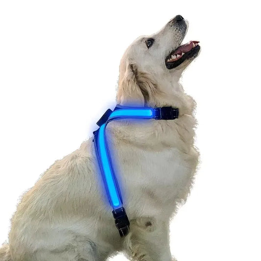 Colour Changing Adjustable Dog Harness