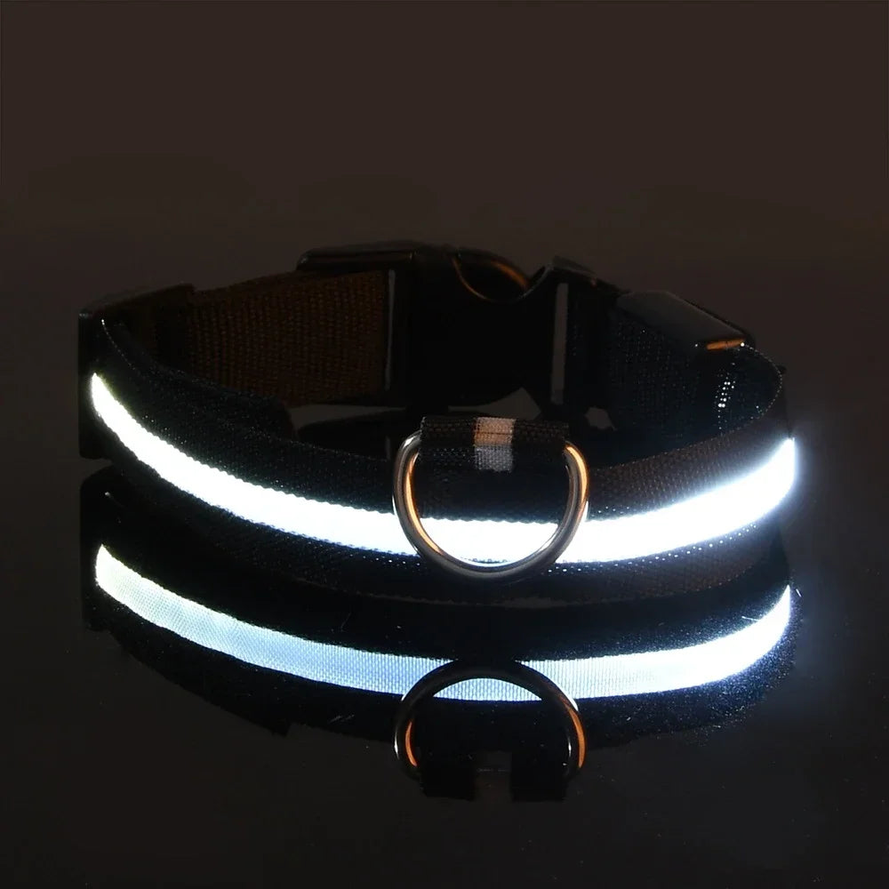 LED Glowing Night Safety Pet Collar