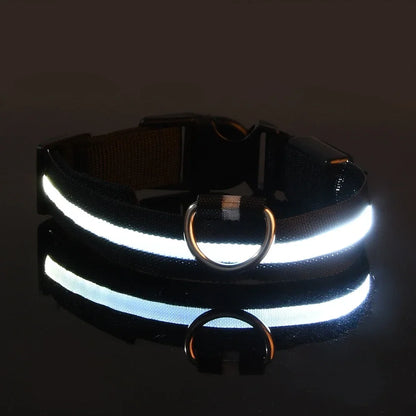 LED Glowing Night Safety Pet Collar