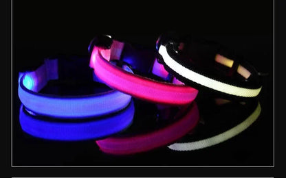 LED Glowing Night Safety Pet Collar