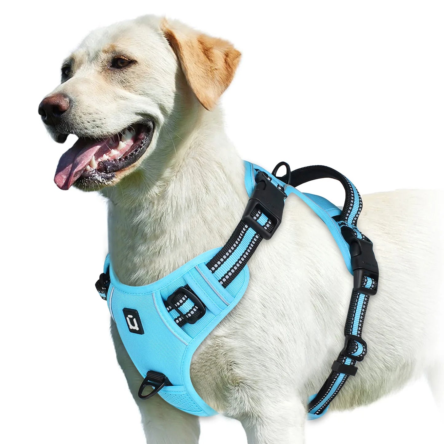 No Pull & High Visibility Dog Harness