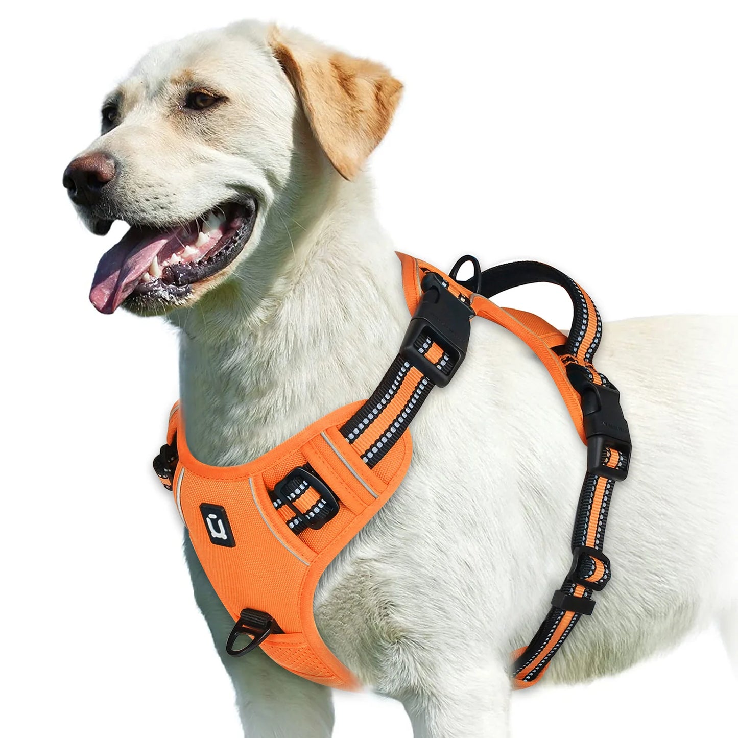 No Pull & High Visibility Dog Harness