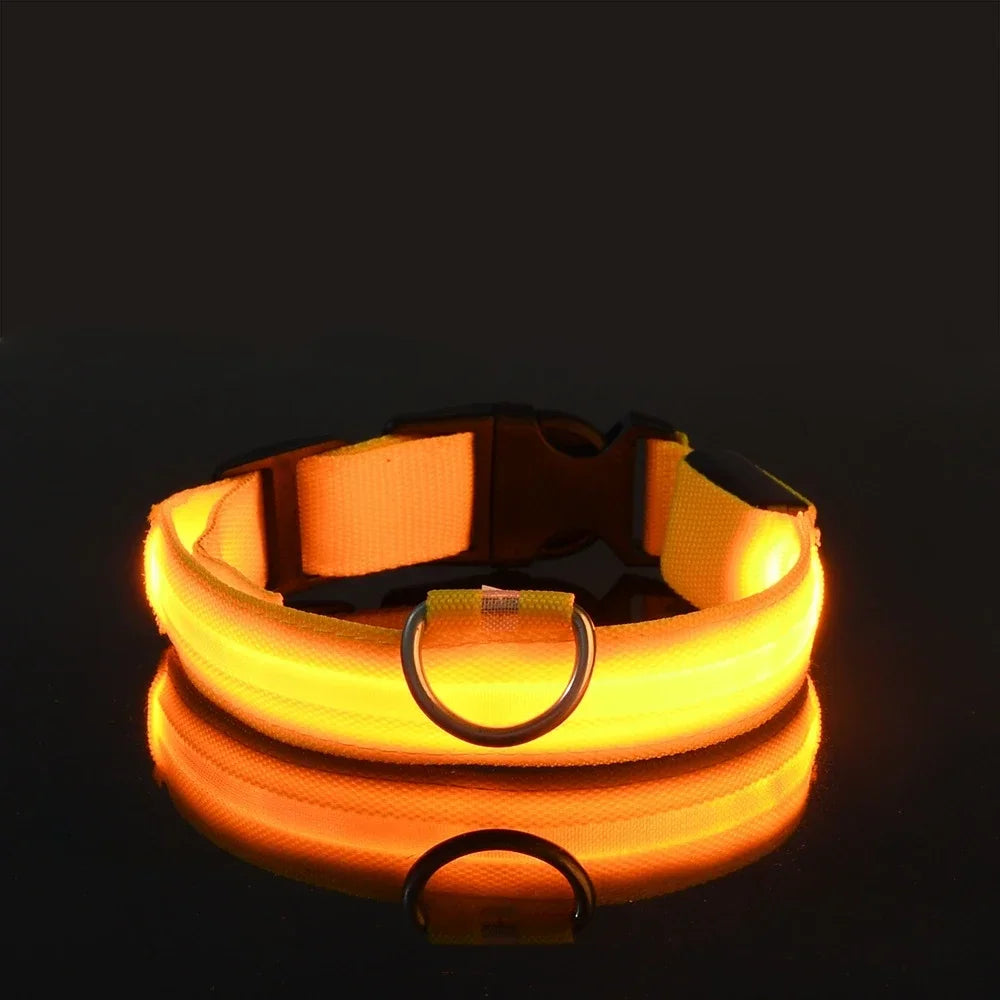 LED Glowing Night Safety Pet Collar
