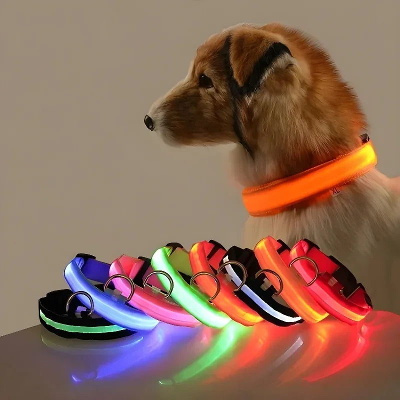 LED Glowing Night Safety Pet Collar
