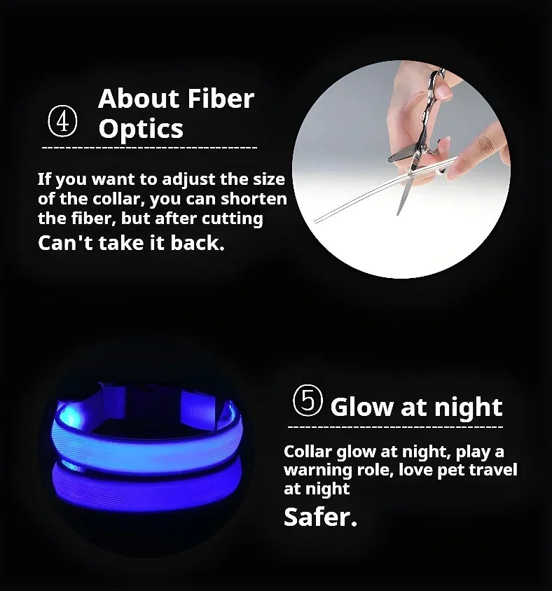 LED Glowing Night Safety Pet Collar