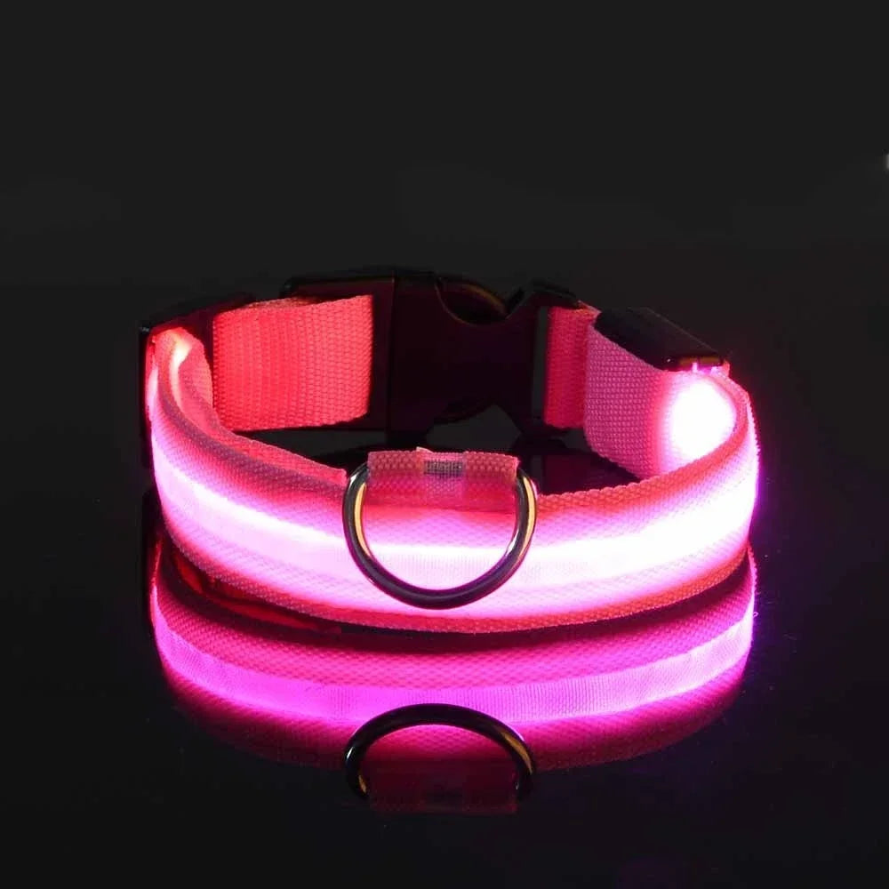 LED Glowing Night Safety Pet Collar