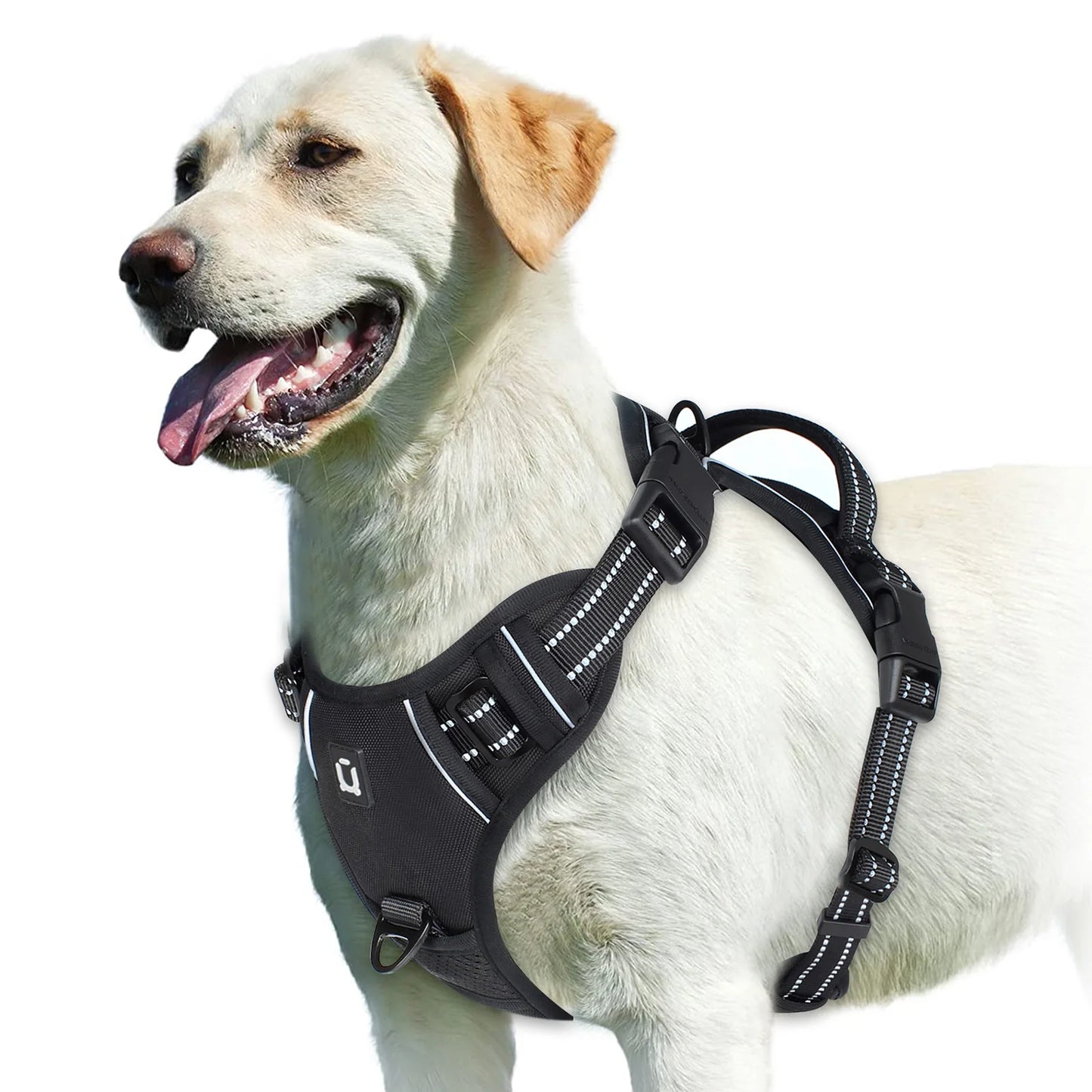 No Pull & High Visibility Dog Harness