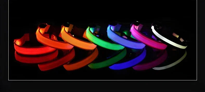 LED Glowing Night Safety Pet Collar