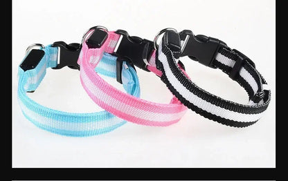 LED Glowing Night Safety Pet Collar