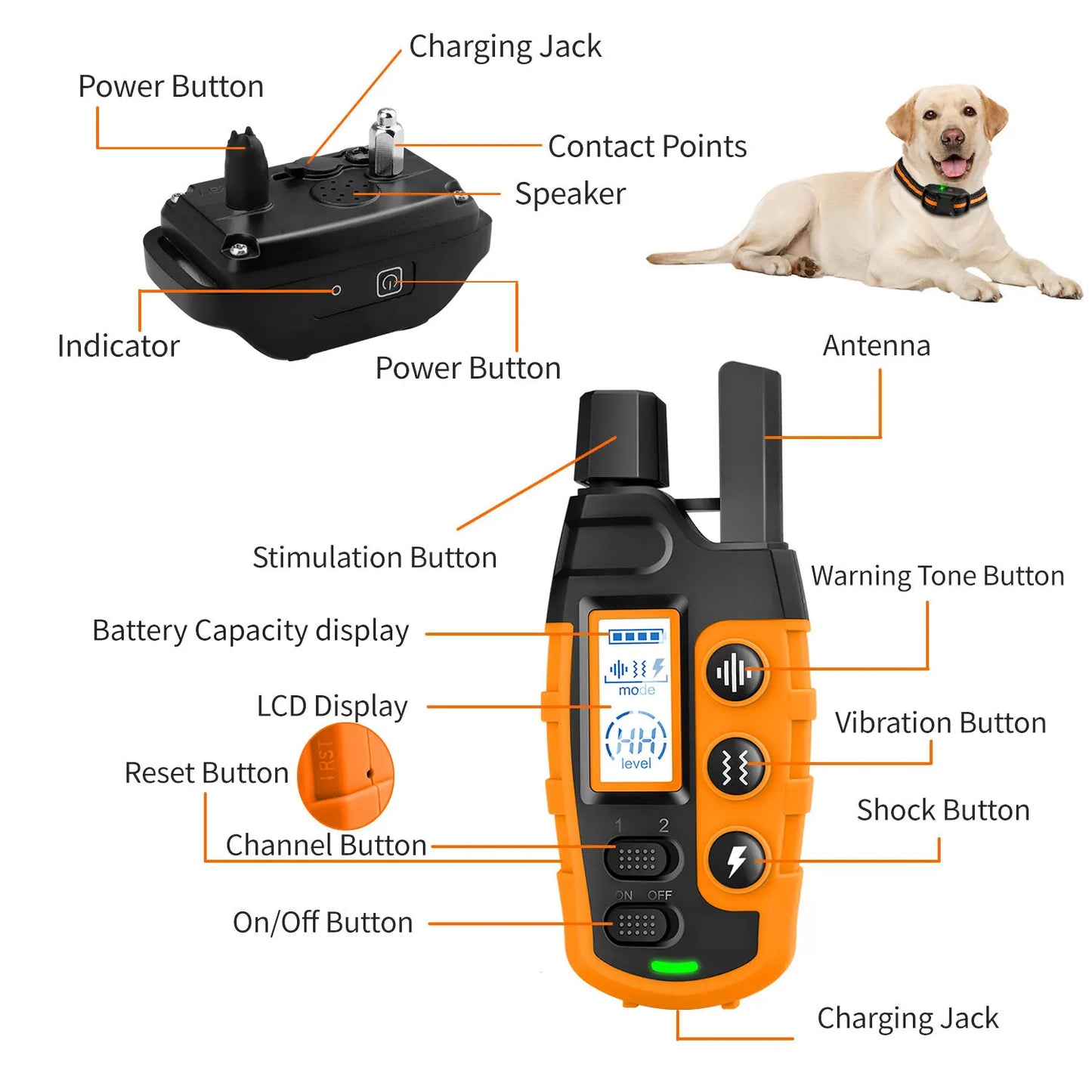 Electric Dog Training Collar With Waterproof Remote Control