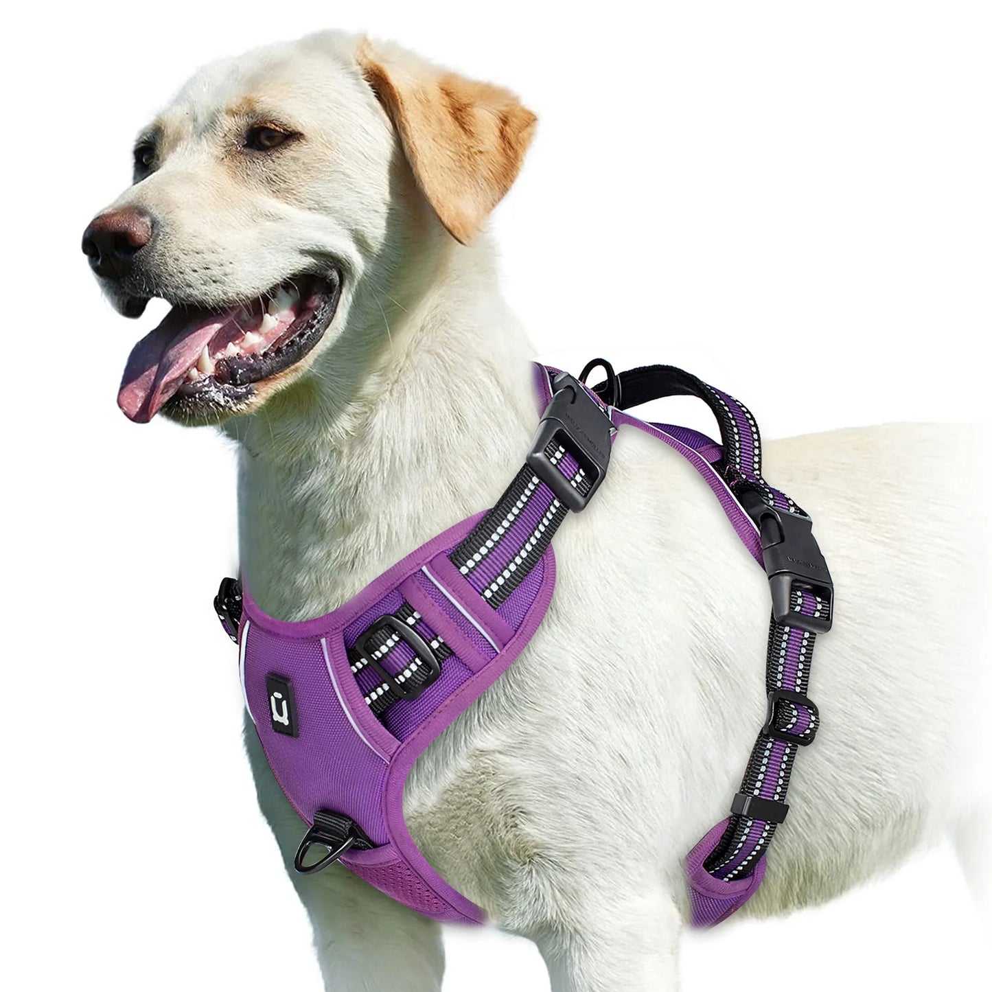 No Pull & High Visibility Dog Harness