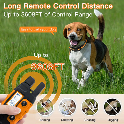 Electric Dog Training Collar With Waterproof Remote Control