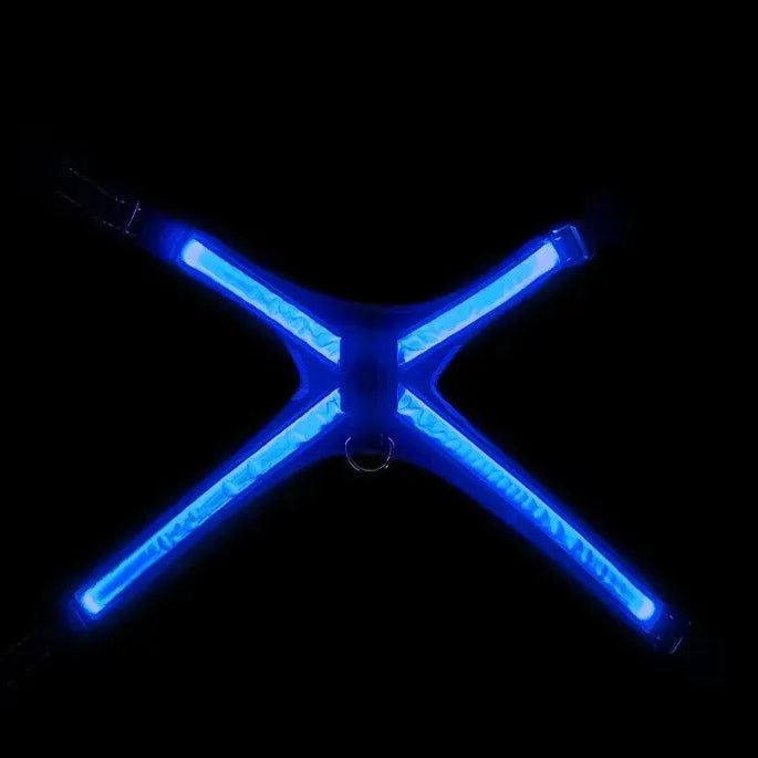 Colour Changing Adjustable Dog Harness