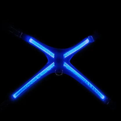 Colour Changing Adjustable Dog Harness