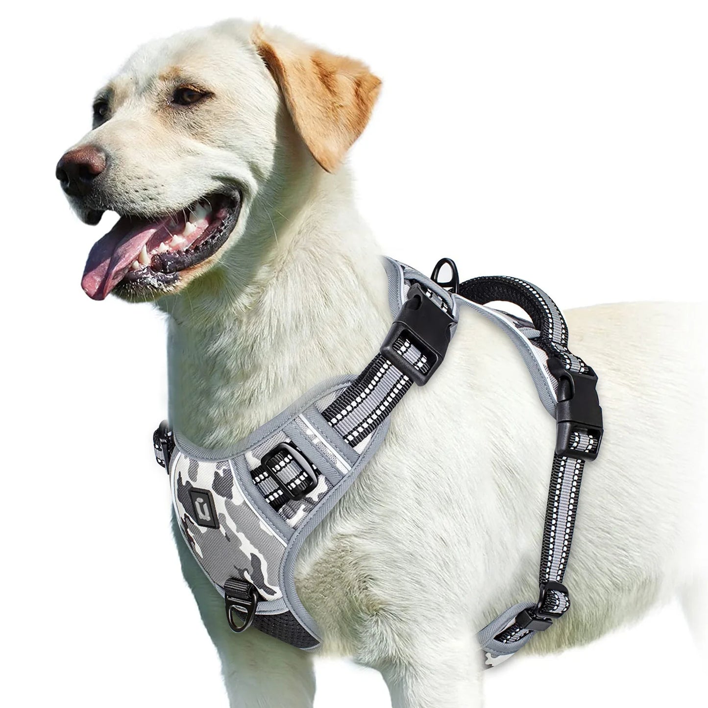 No Pull & High Visibility Dog Harness