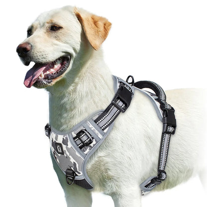 No Pull & High Visibility Dog Harness