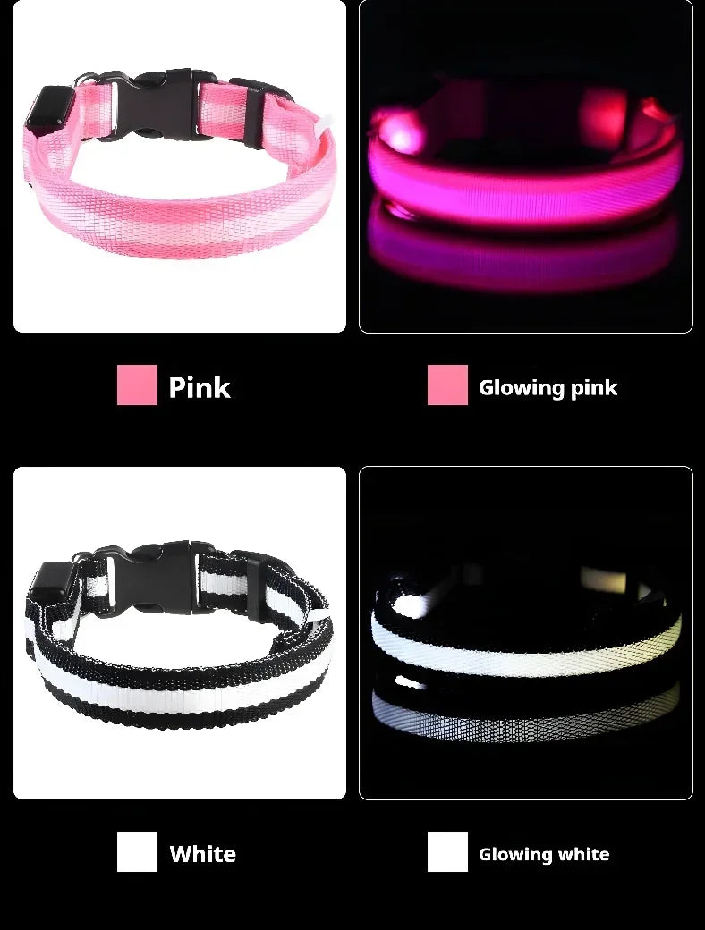 LED Glowing Night Safety Pet Collar
