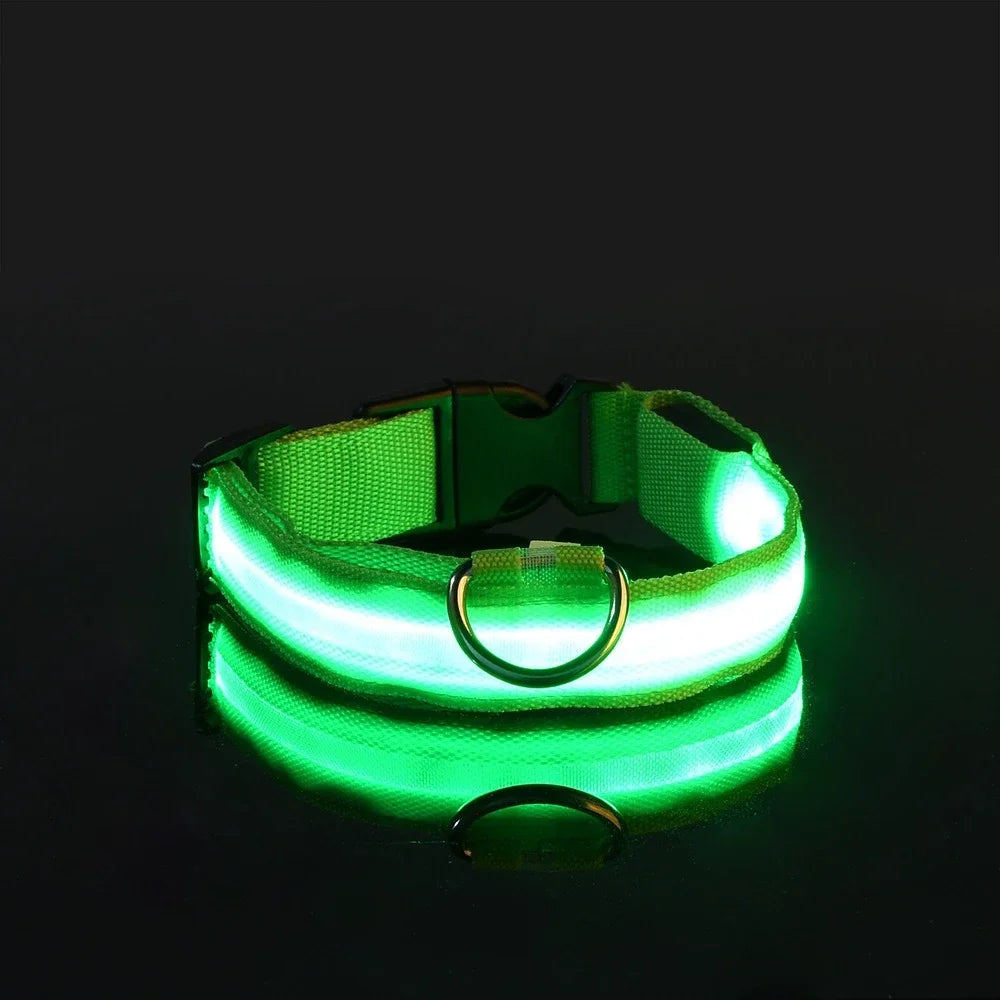 LED Glowing Night Safety Pet Collar