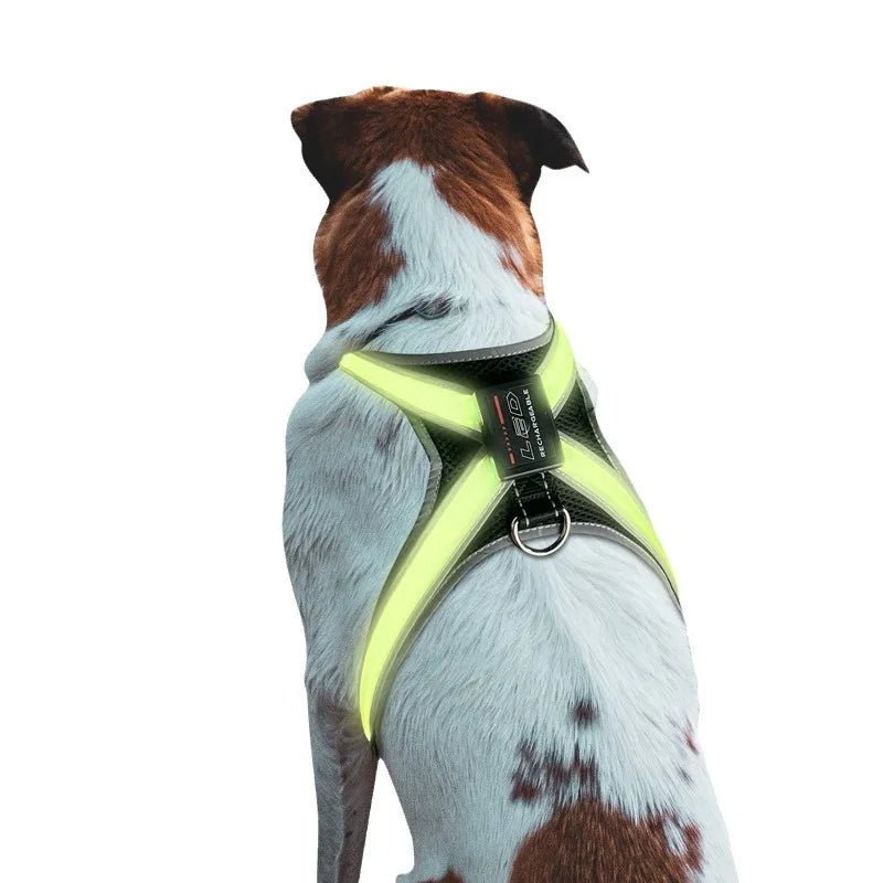 Colour Changing Adjustable Dog Harness